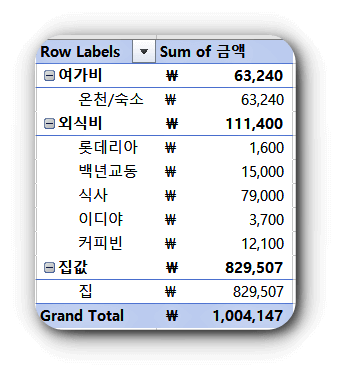 소비 세부내역