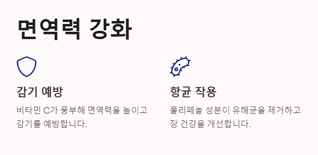 토마토 효능