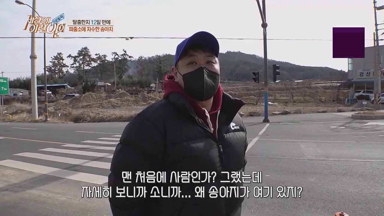 순간포착 세상에 이런 일이.E1217.230215p.WANNA.mp4_20230215_194721.359.jpg