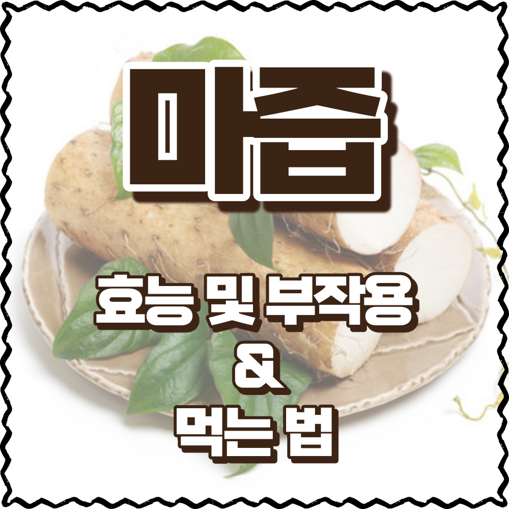 마즙 효능