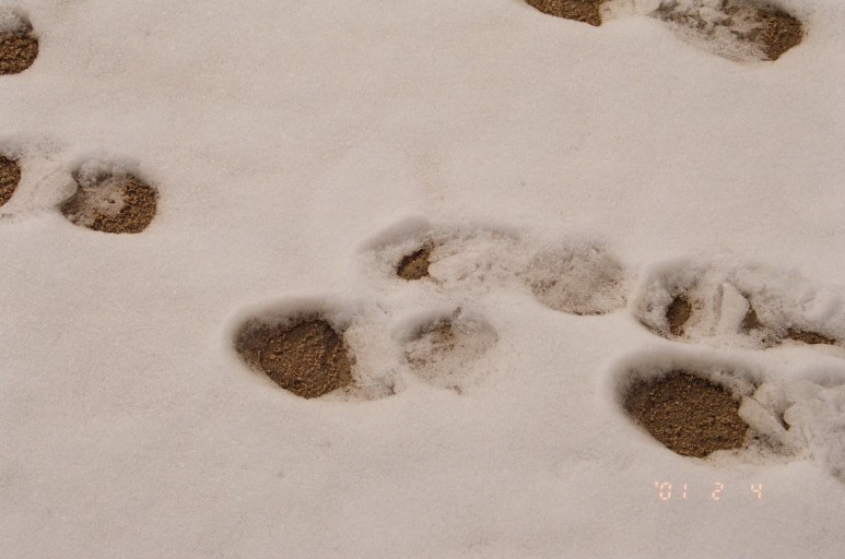 중고 펜탁스 SF7 자동차 필름 카메라 이야기. 결과는 9개월만에 나왔다. 20