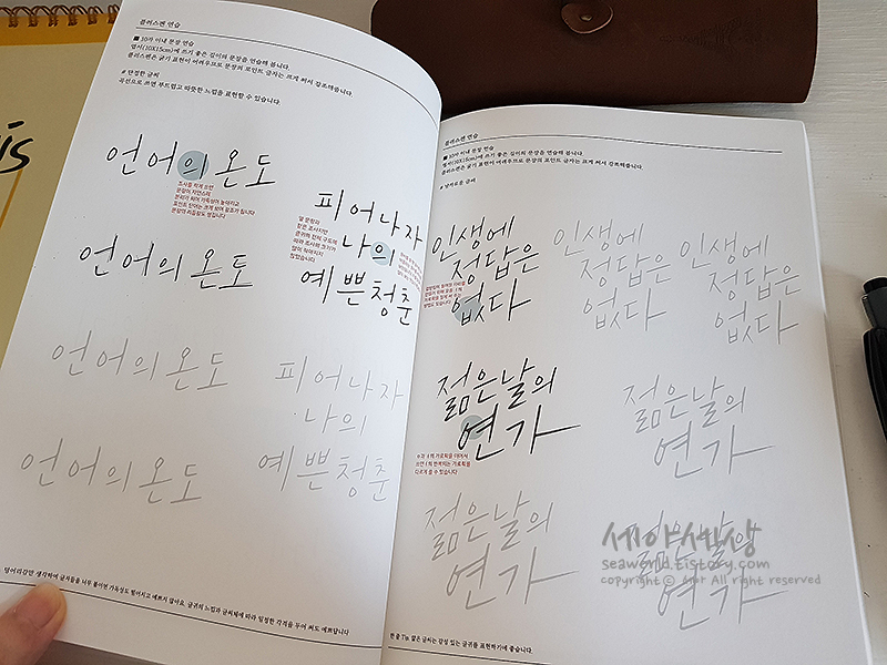 캘리그라피