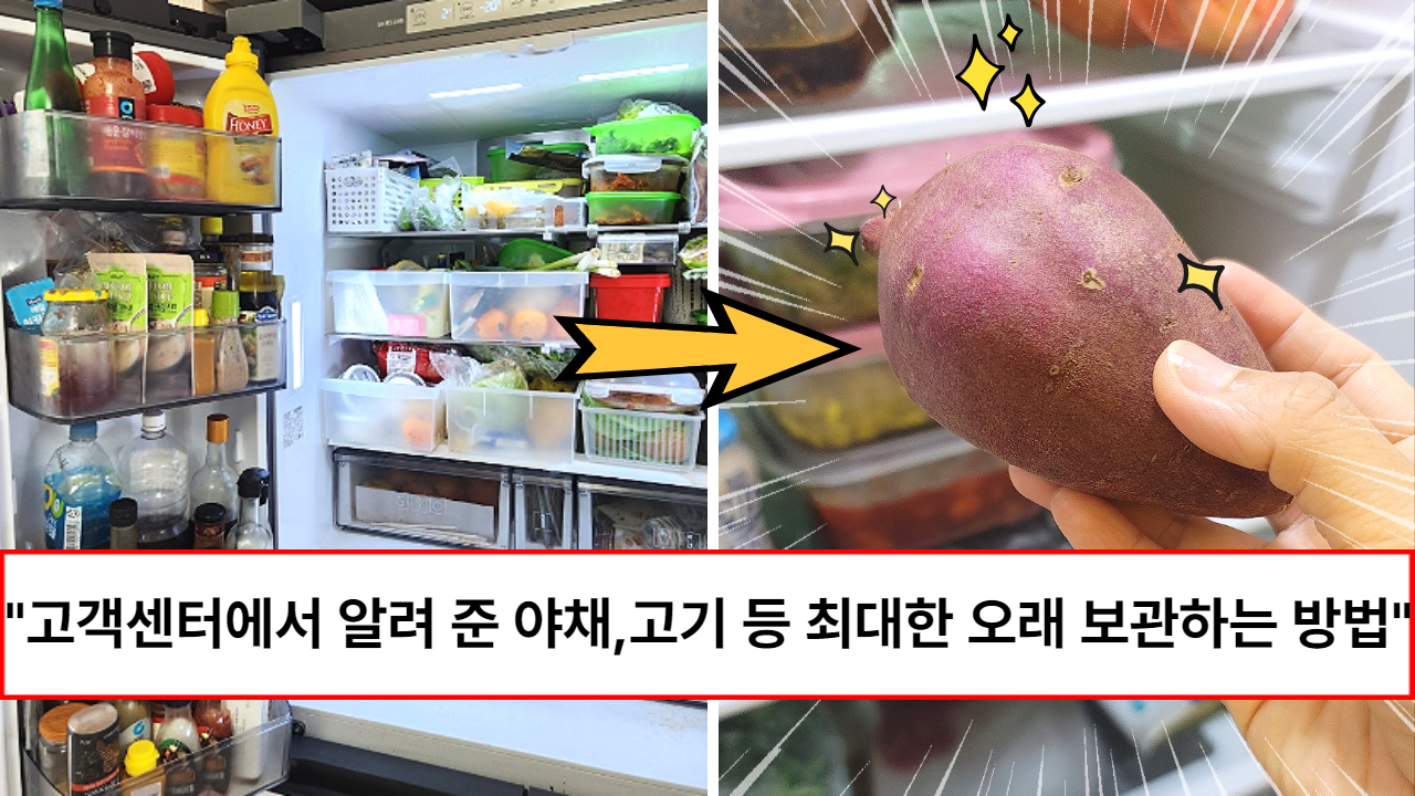 “전국민 99%가 모르고 있습니다” 삼성, LG 에서 알려 준 냉장고 속 음식들 최대한 오래 보관하는 방법
