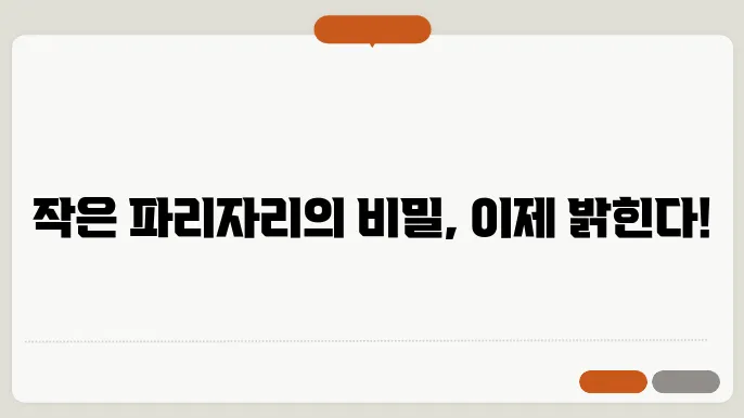 파리자리 작은 곤충의 비밀