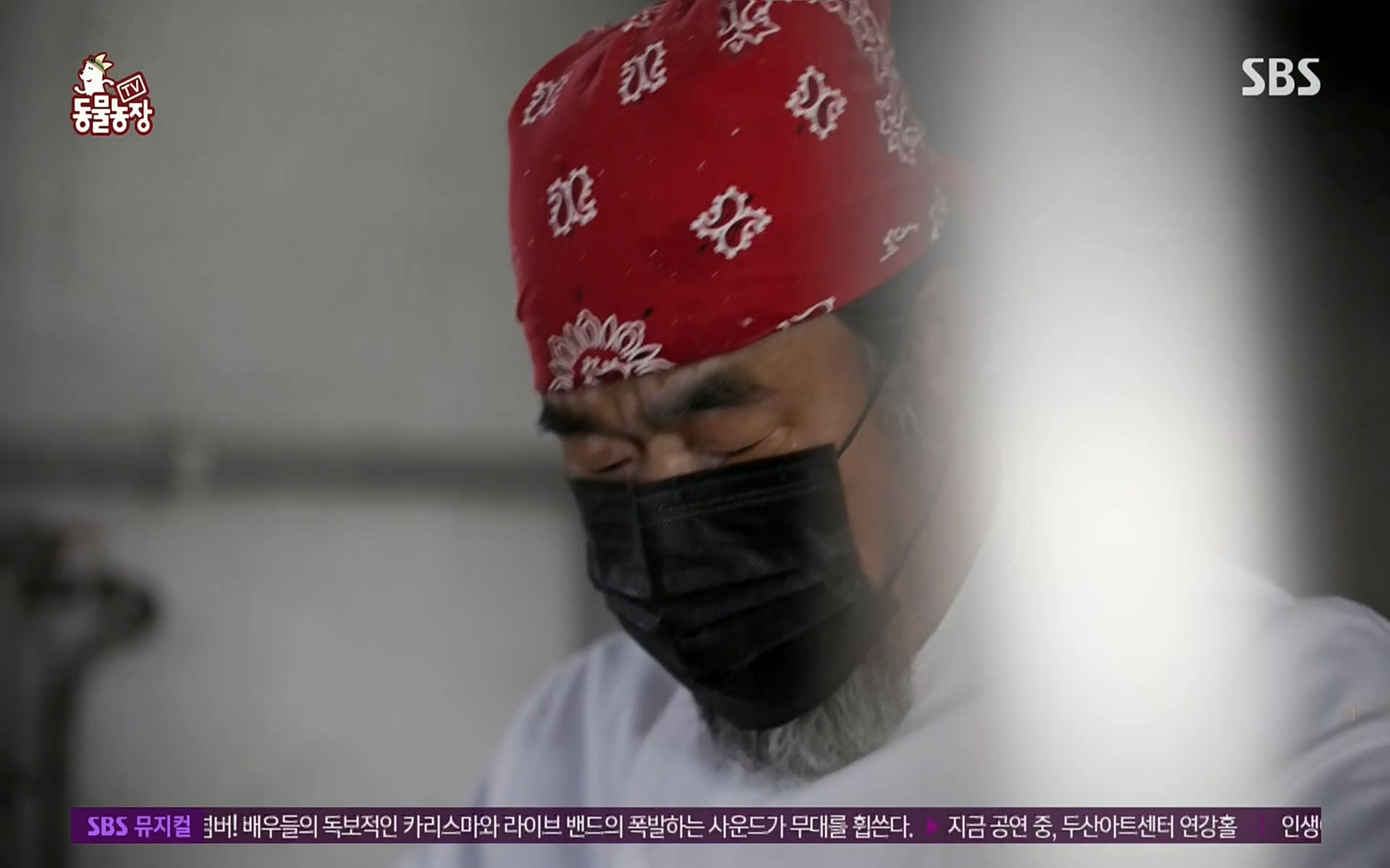 TV 동물농장.E1069.220515p.H264-F1RST.mp4_20220515_181239.196.jpg