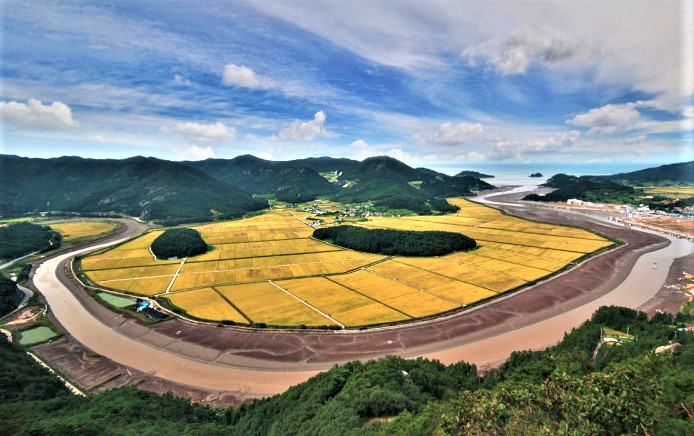 청보리축제_2023 고창청보리밭축제 17