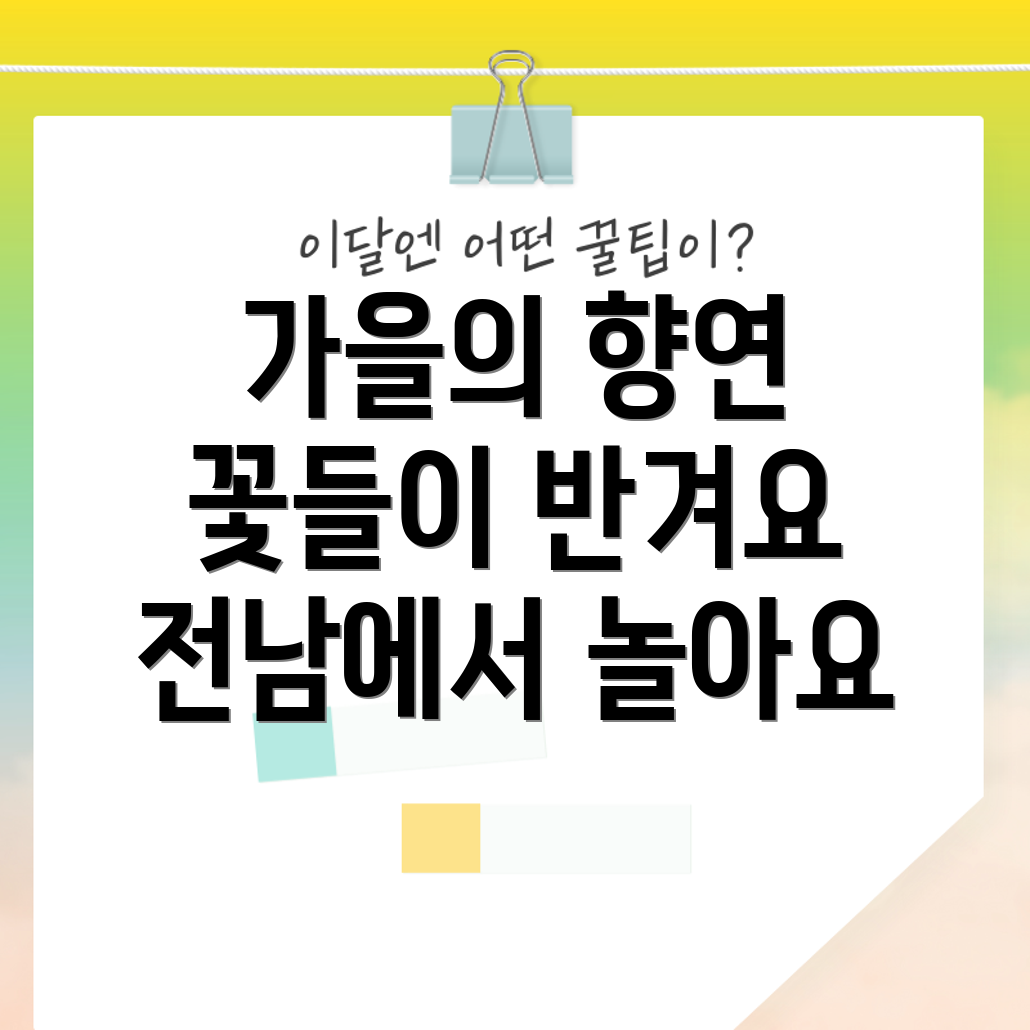 전남의 가을 꽃축제