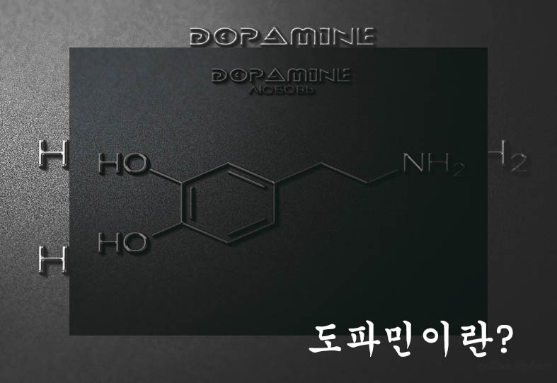 도파민 이란?&#44; 부족으로 생기는 병&#44; 음식&#44; 과다분비 및 중독- 한눈에 정리