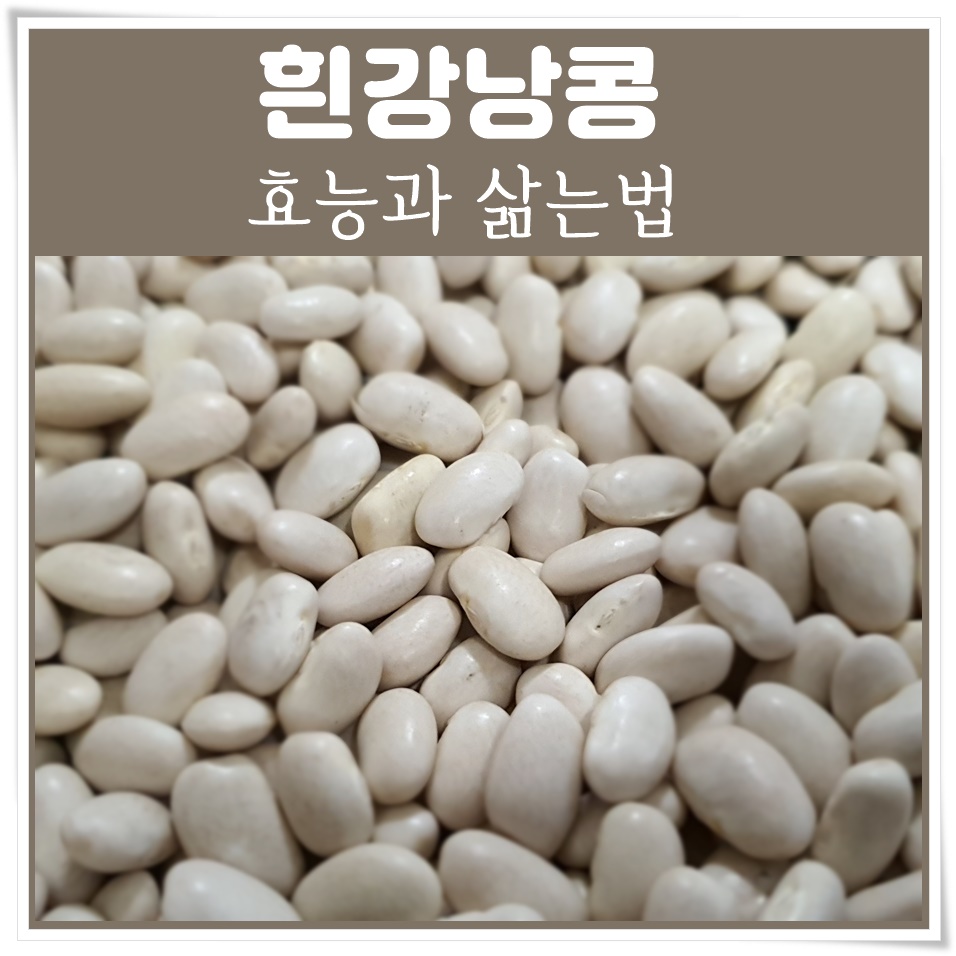  나는몸신이다 흰강낭콩 효능과 삶는법