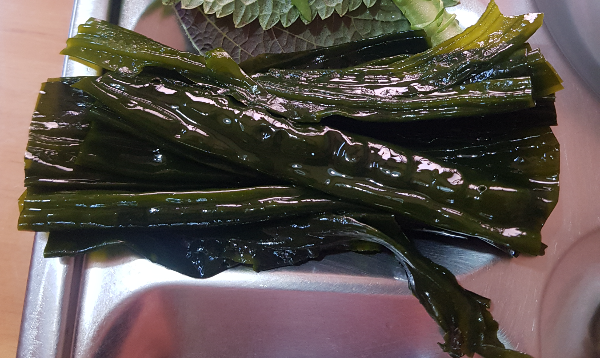 곰피 효능