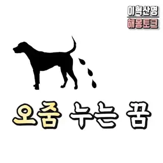 강아지-나한테-오줌-꿈-dog