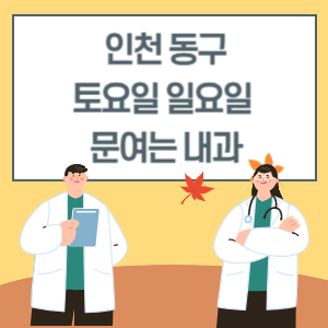 인천 동구 토요일 일요일 내과 진료 병원 리스트