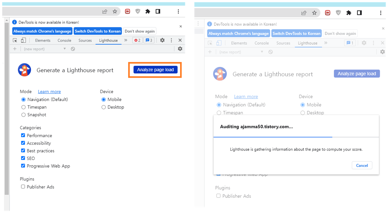 Analyze page load