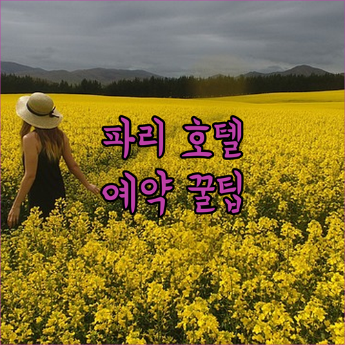 파리 호텔 예약 전 필독! 솔직 후기