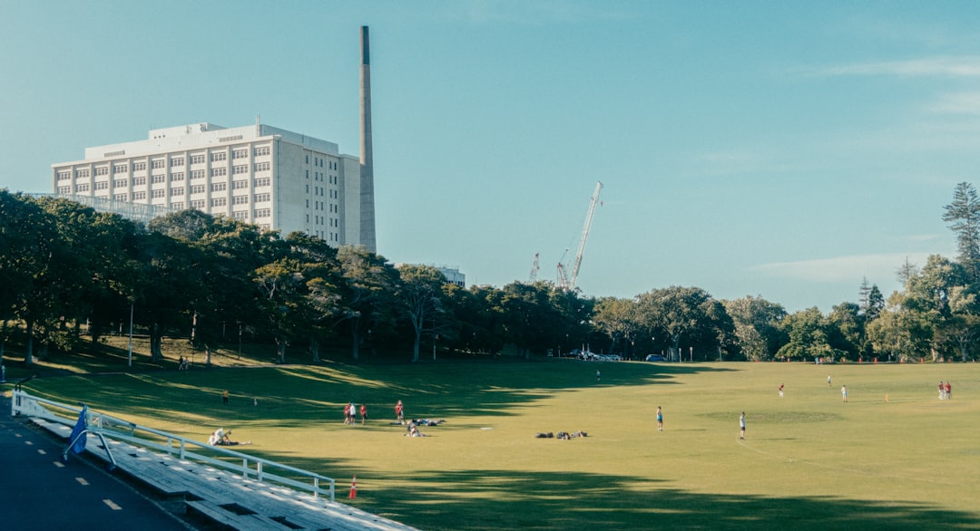 Cricket