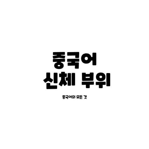  중국어 신체 부위 명칭