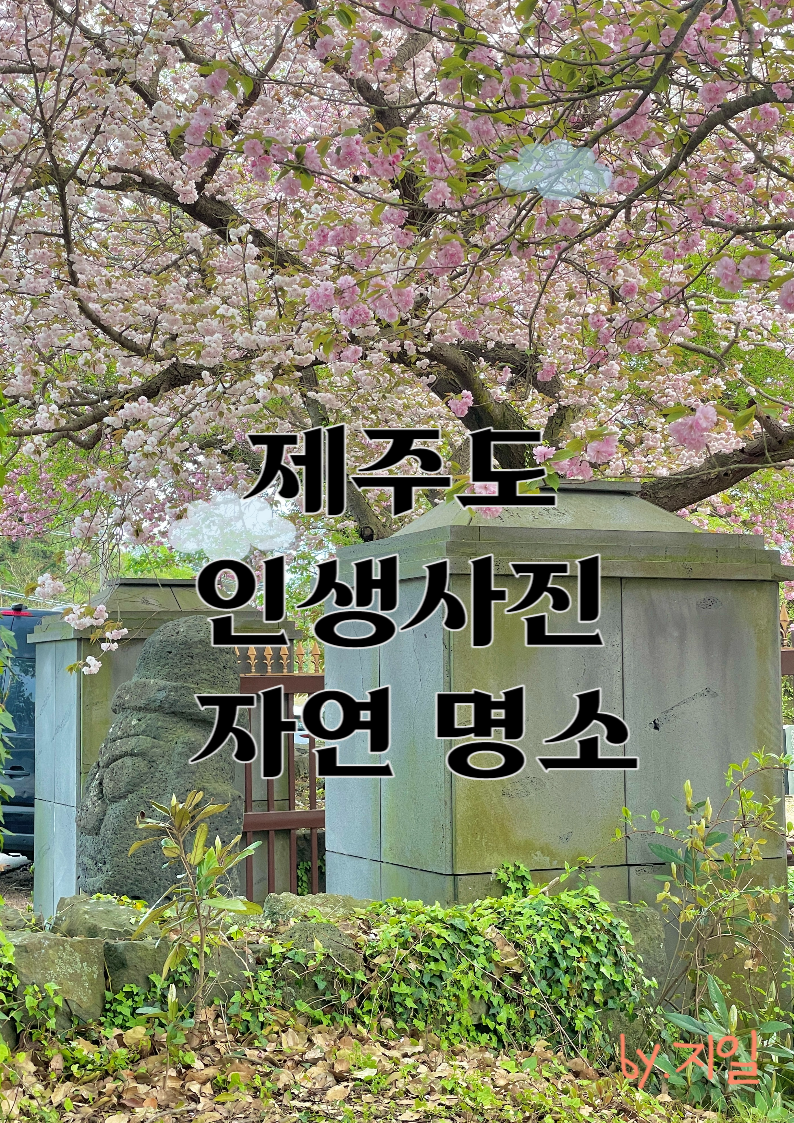  제주도 자연이 만들어 준 인생사진 명소
