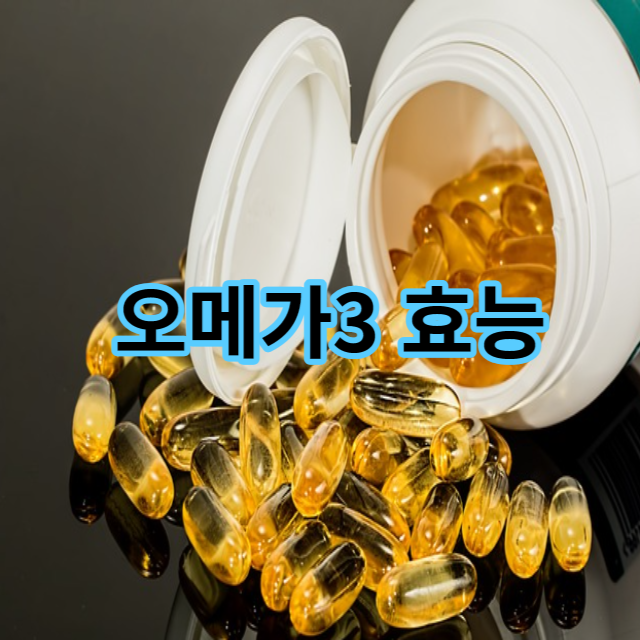  오메가 3 효능 15가지 및 부작용 복용 시간