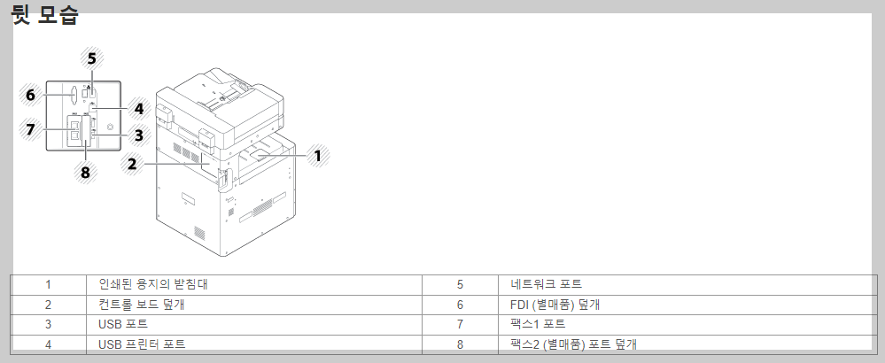 뒷모습