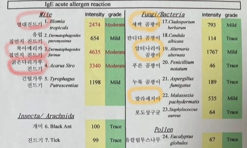 강아지 알레르기 검사 결과