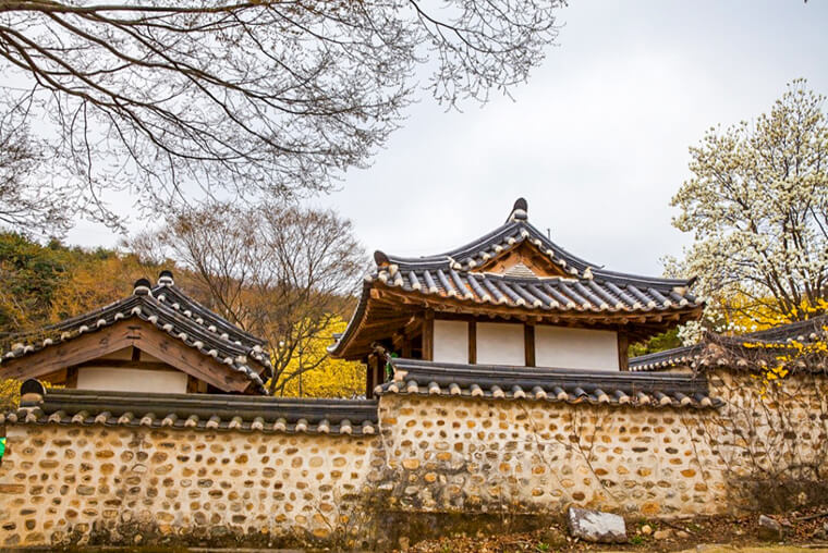 이천 산수유마을 육괴정