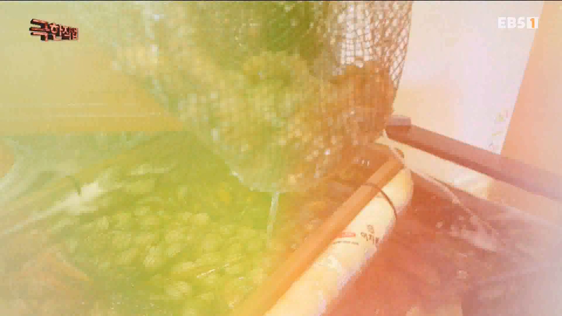[극한 직업] 장어와 대왕문어 240316.mp4_20240317_153631.632.jpg