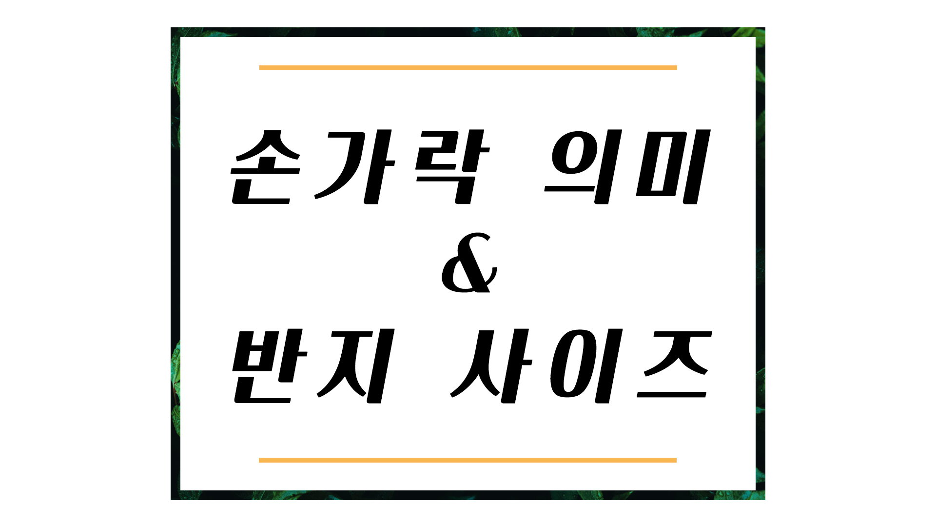  손가락 의미 & 반지 사이즈