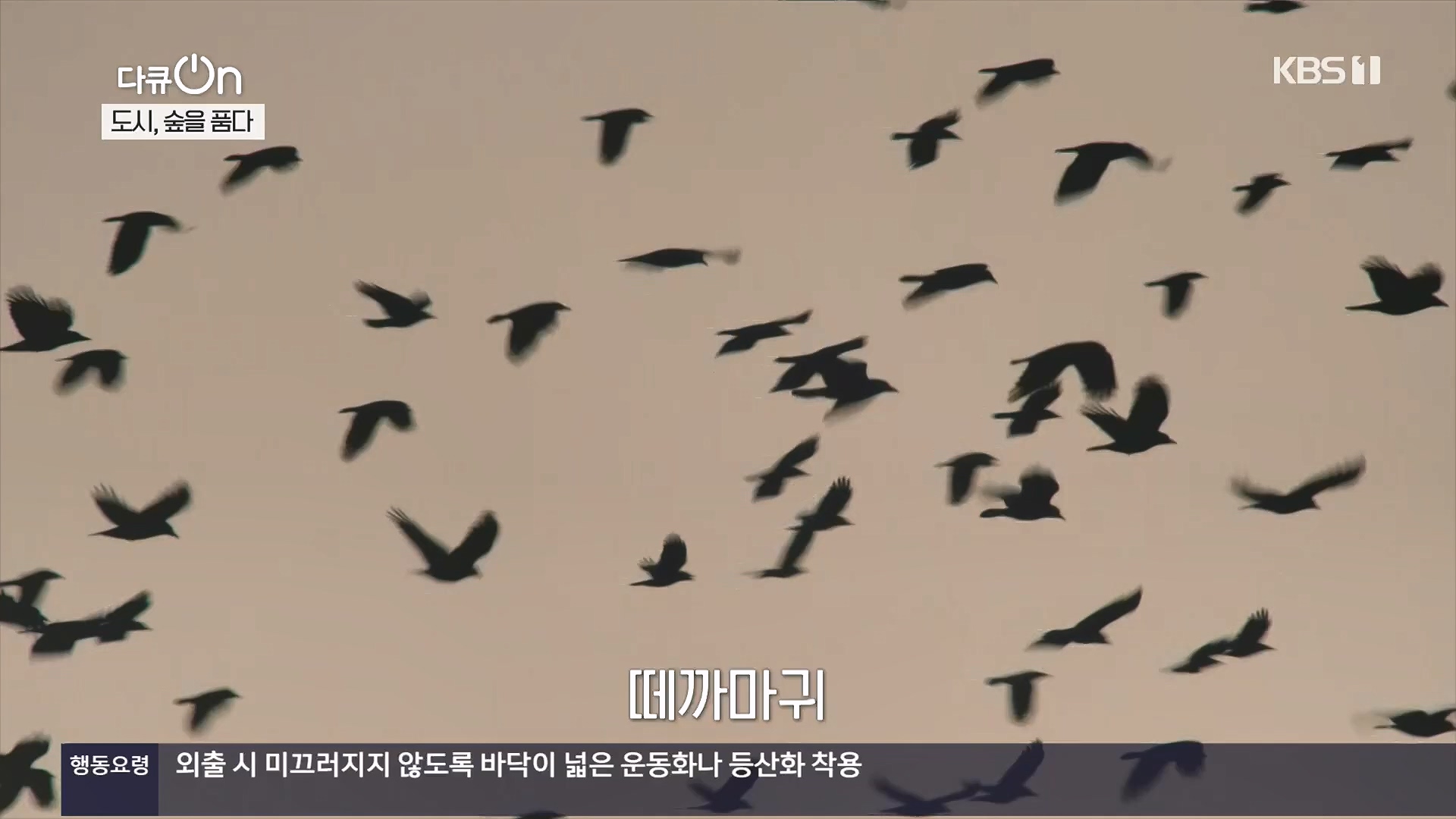 다큐 On.E232.231216p.H264-F1RST.mp4_20231220_210119.308.jpg