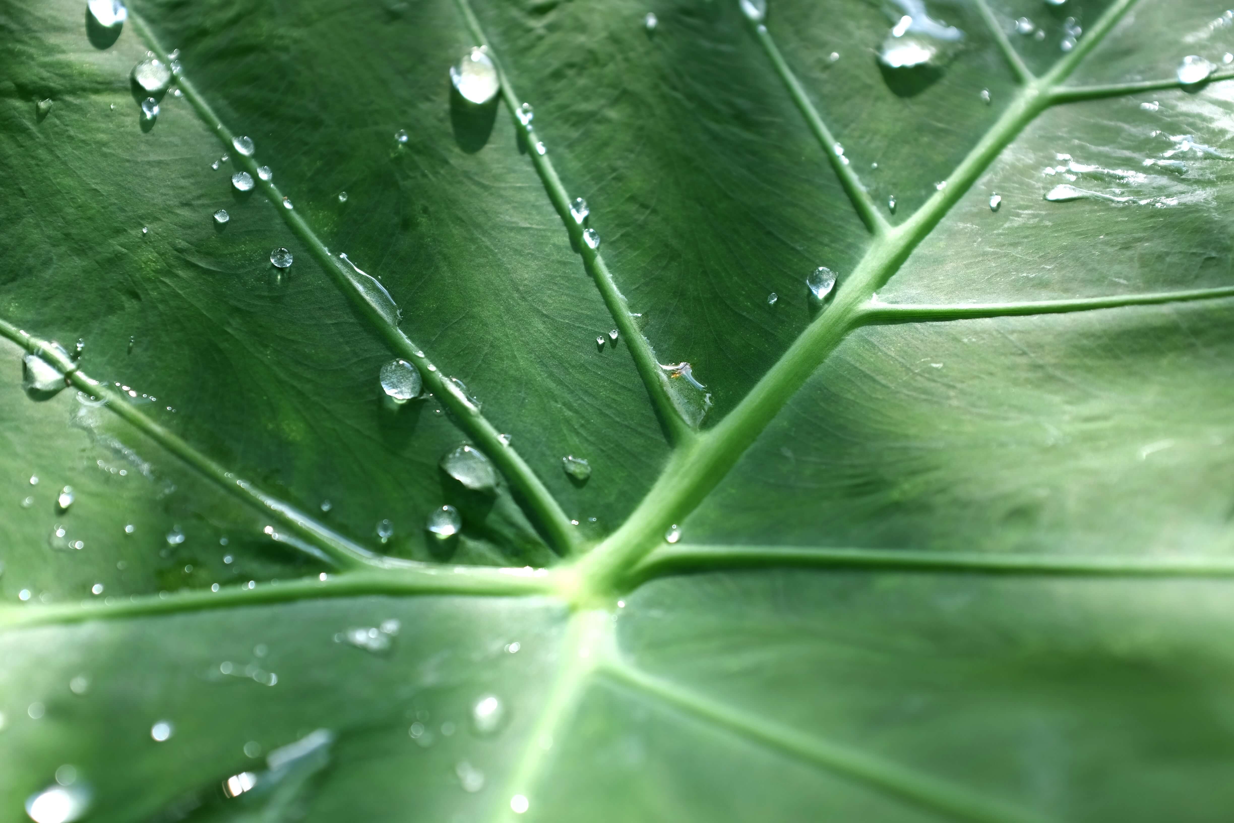 moisture-image