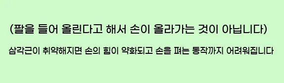  (팔을 들어 올린다고 해서, 손이 올라가는 것이 아닙니다.) 삼각근이 취약해지면, 손의 힘이 약화되고 손을 펴는 동작까지 어려워집니다.