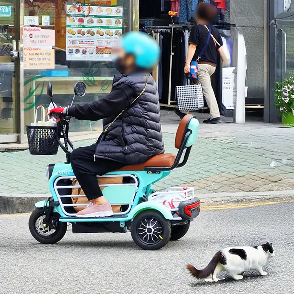 배민커넥트-라이더