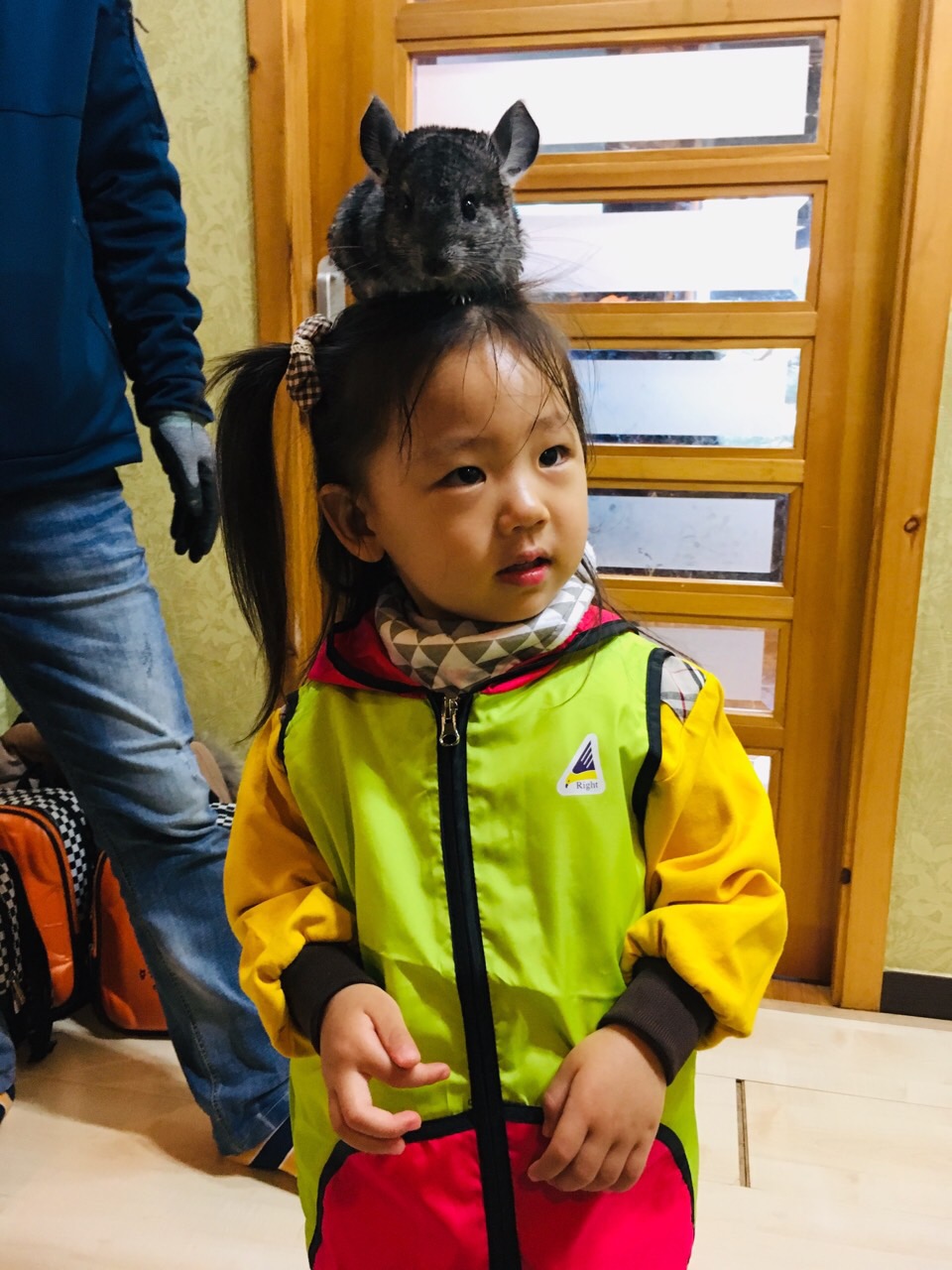  동물카페 친칠라