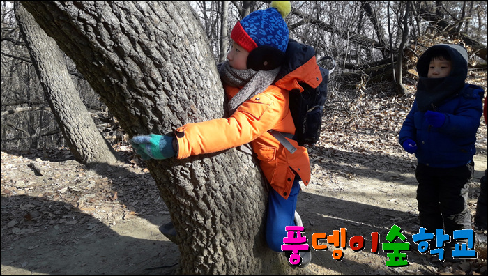 사계절을담다 이미지