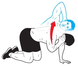  숨겨진 키 찾기 : 단 5분만 투자해서 자신의 키를 높이는 방법