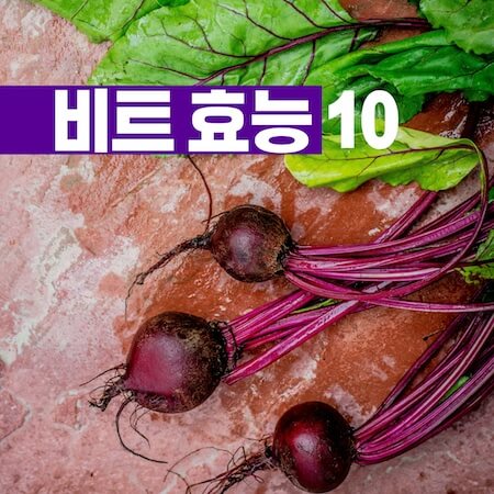 비트-효능-10-썸네일