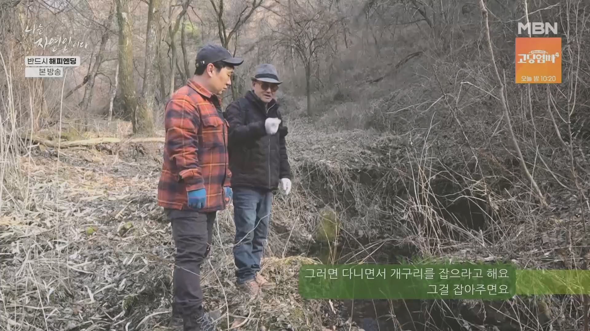 나는 자연인이다.E600.240403p.H264-F1RST.mp4_20240404_191347.346.jpg