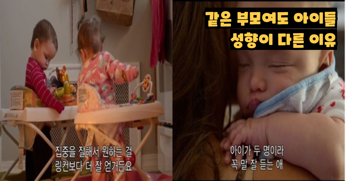  같은 부모님 밑에서 자라도 아이들의 성향이 다른 이유