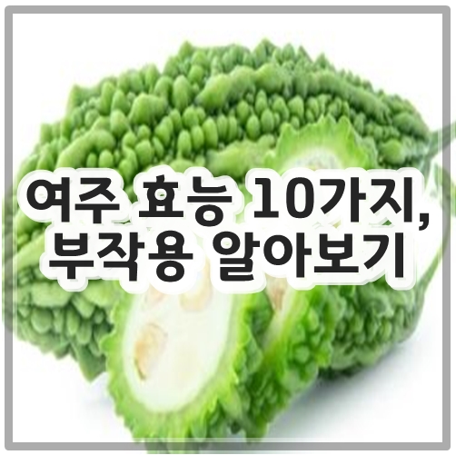 여주 효능 10가지&#44; 부작용 알아보기