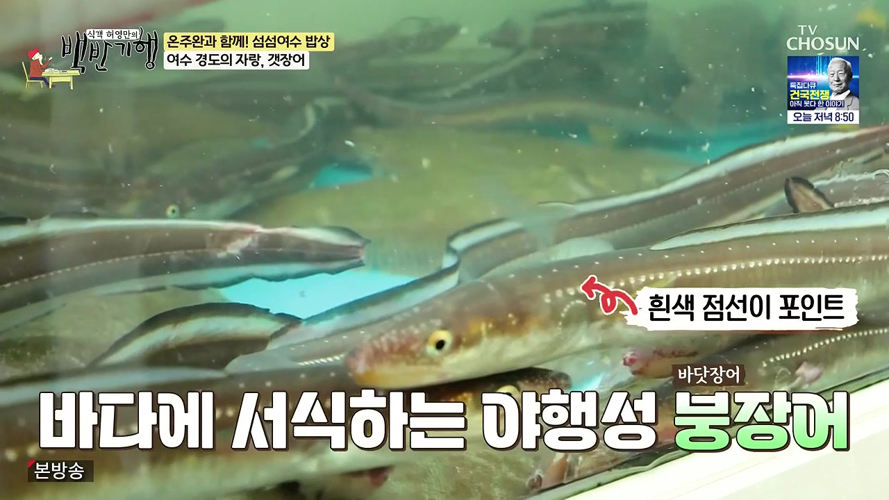 식객 허영만의 백반기행.E253.240624p-NEXT.mp4_20240624_194853.964.jpg