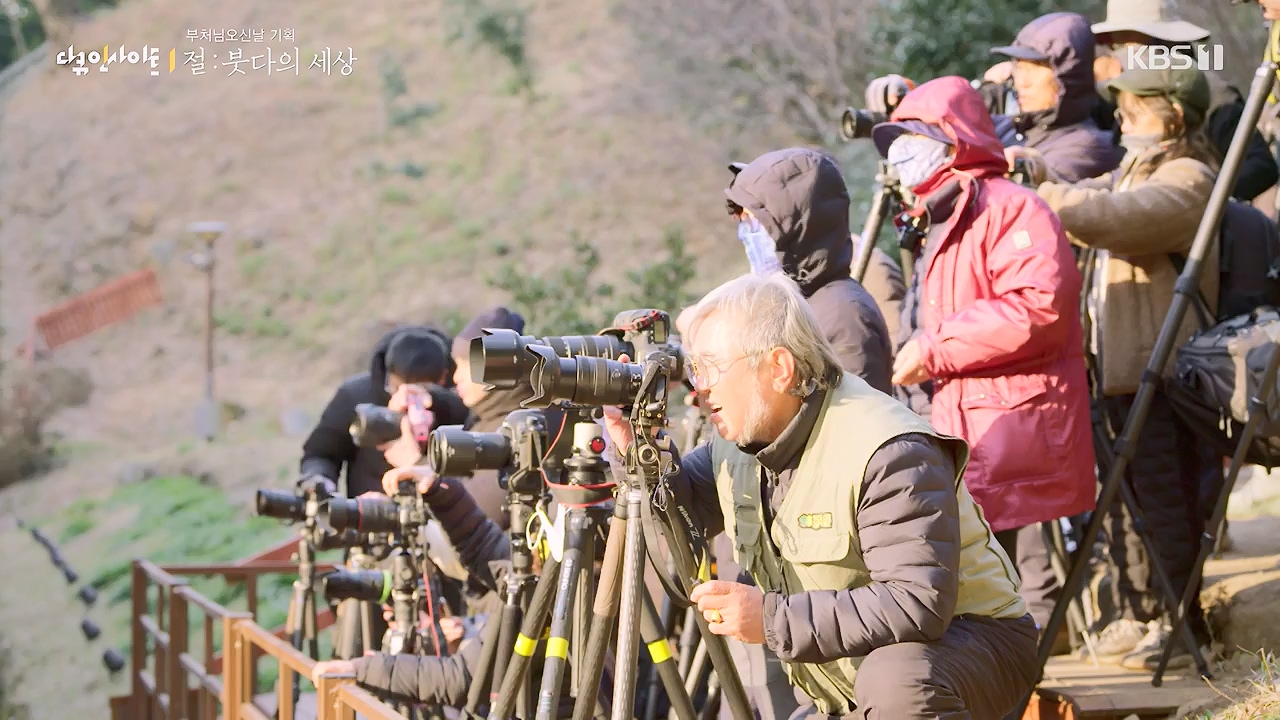 다큐 인사이트.E185.240517p-NEXT.mp4_20240517_202636.116.jpg