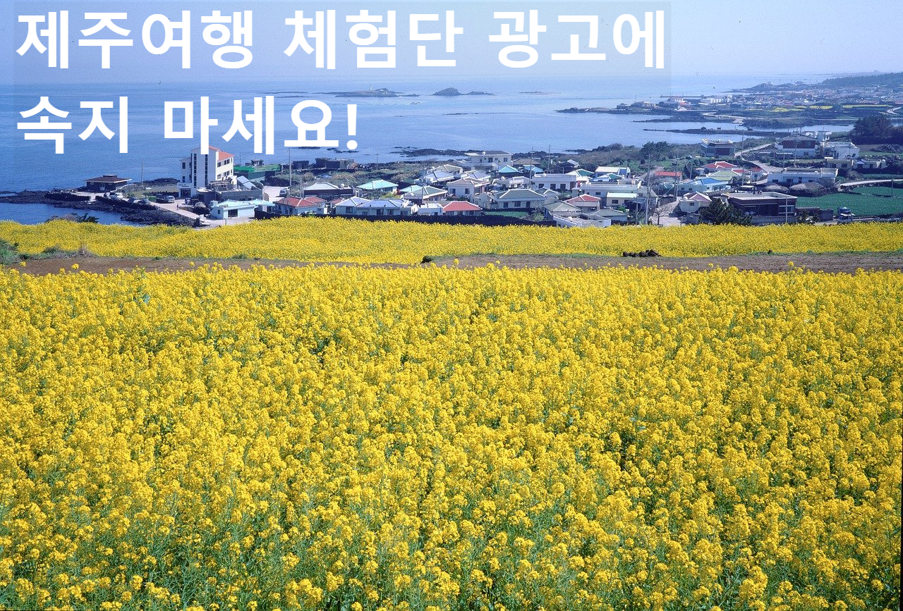 제주도 사진