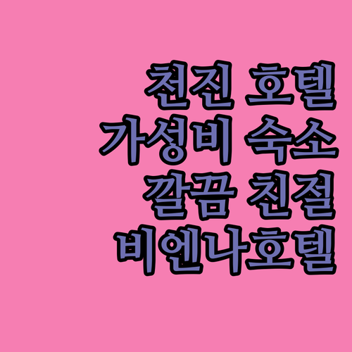 비엔나 클래식 호텔 천진다강 가성비 