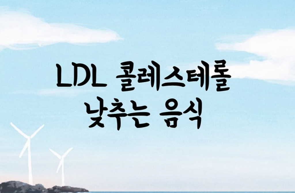  나쁜 콜레스테롤 낮추는 음식 LDL 낮추기