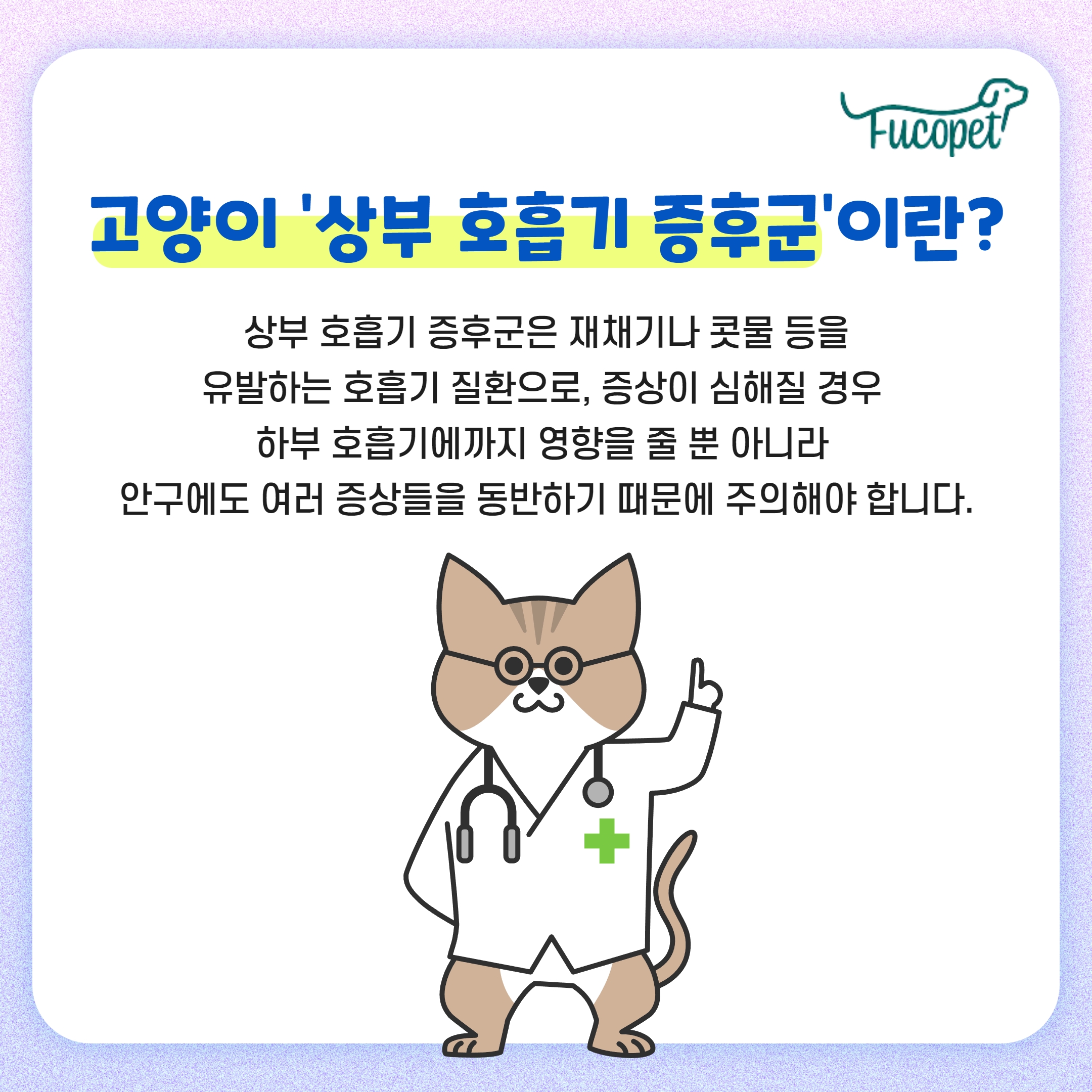 고양이 호흡 보조제/상부 호흡기 증후군/후코이단 푸코펫 2