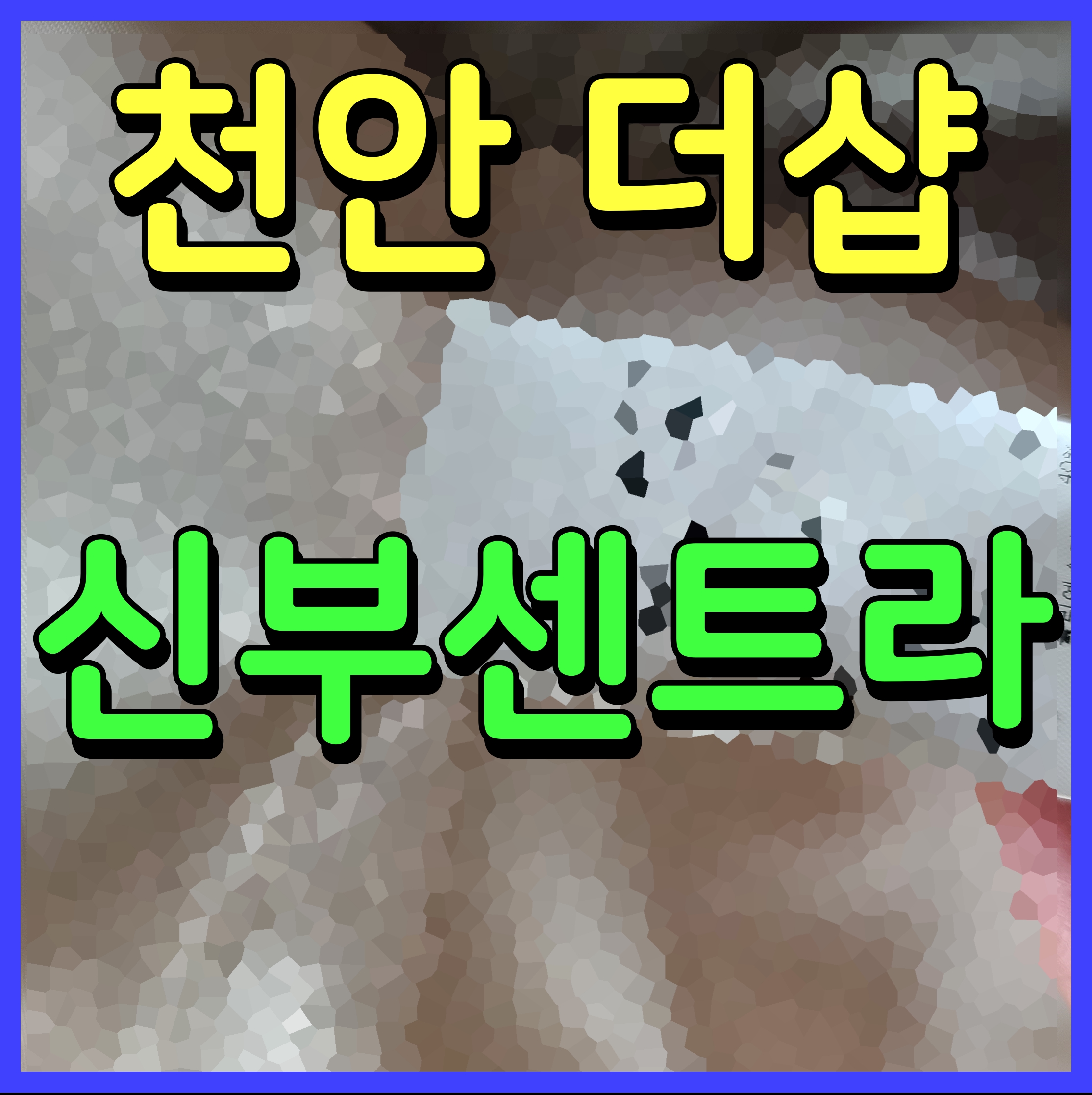  천안 더샵 신부센트라 아파트 분양 정보 동호수