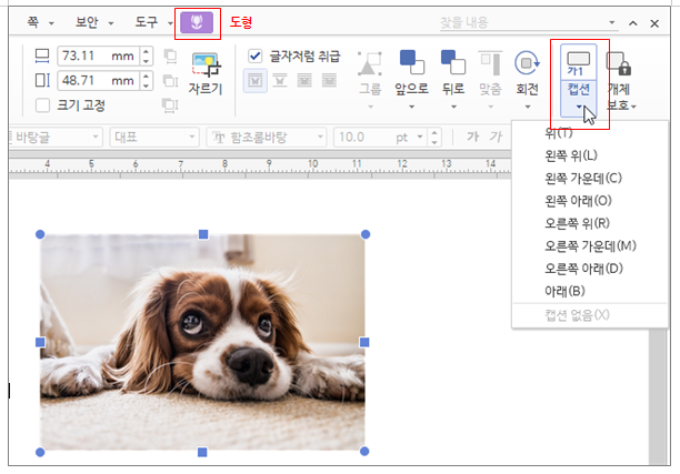 한글 캡션 설정 표번호 그림번호