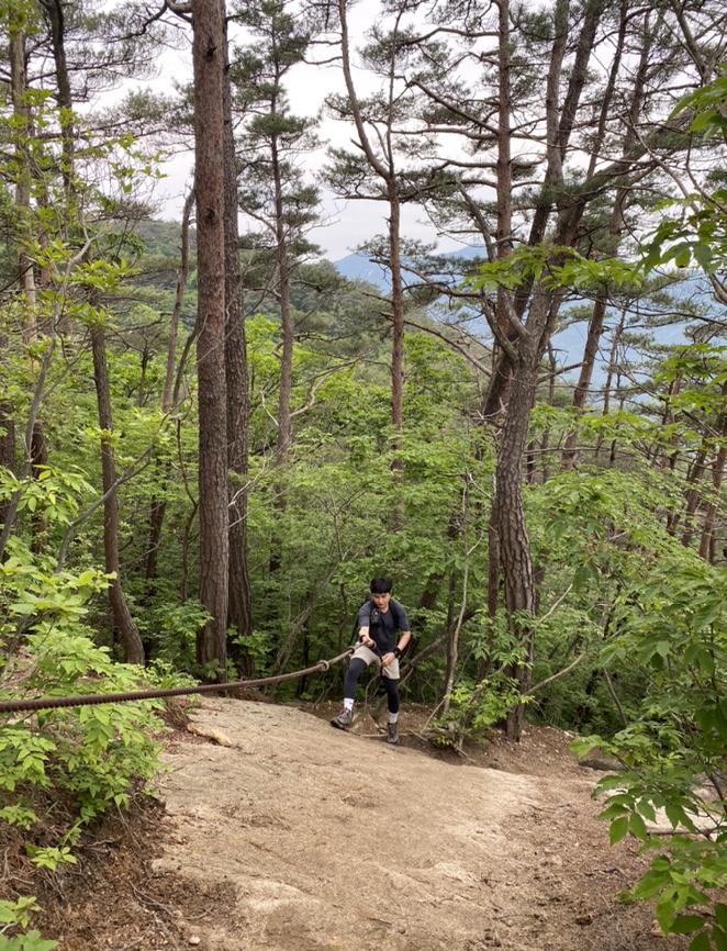 여름산으로 추천하는 괴산 칠보산(778m) 숲속을 거니는 듯 시원해 27