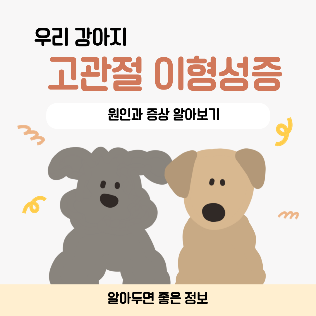 강아지 고관절 이형성증, 어떤 증상이 있고 어떻게 관리해야 할까요?