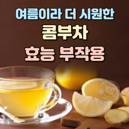 콤부차 효능 부작용 알아본다면