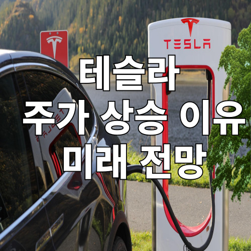 테슬라 주가 상승 이유와 미래 전망